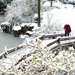 江油市好玩的地方